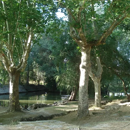 El Rincon Del Labrador
